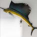 Apostolis ゲストハウス