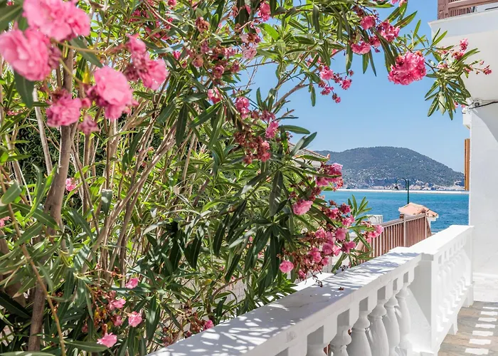 Apostolis Studios Guest house